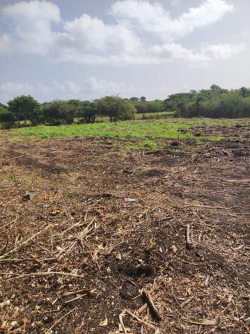 Vente / Terrain constructible