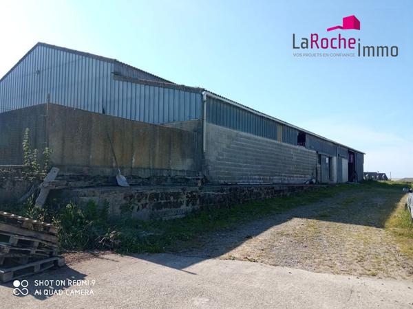 Grand hangar agricole