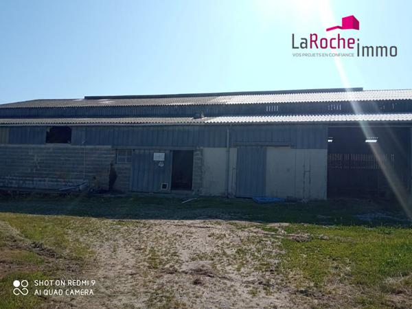 Grand hangar agricole
