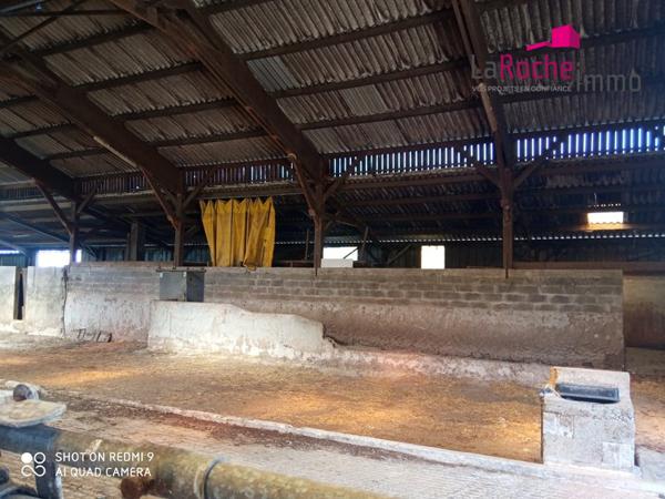 Grand hangar agricole