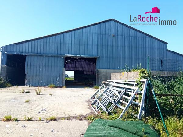 Grand hangar agricole