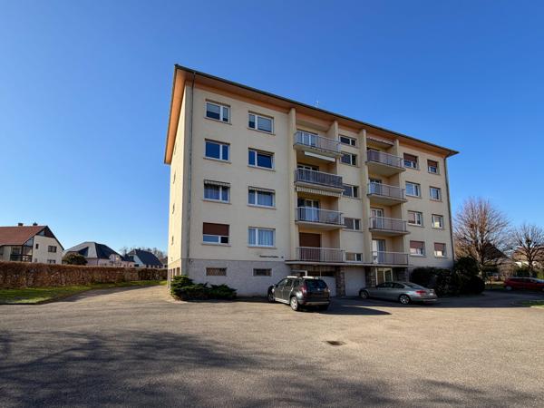 NOUVEAUTE ORUGAMI EN EXCLUSIVITE A OSTWALD