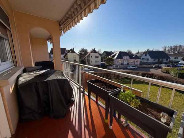 NOUVEAUTE ORUGAMI EN EXCLUSIVITE A OSTWALD