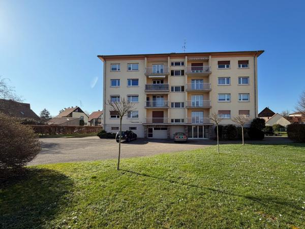 NOUVEAUTE ORUGAMI EN EXCLUSIVITE A OSTWALD