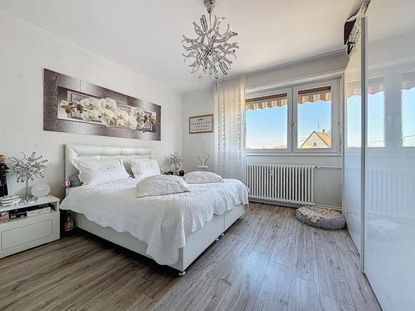 NOUVEAUTE ORUGAMI EN EXCLUSIVITE A OSTWALD