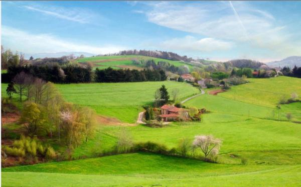 appartement à vendre 3 pièces LENTILLY (69)