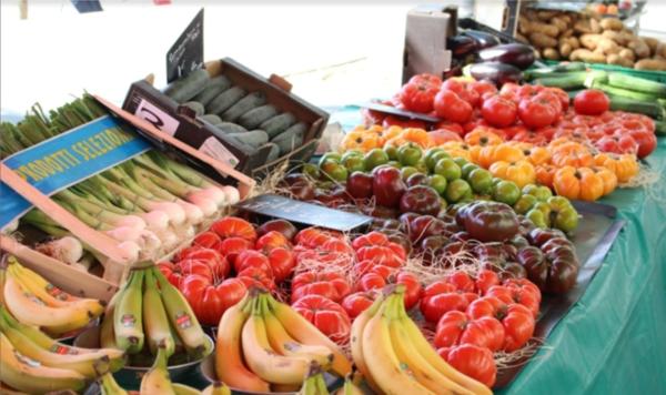 appartement à vendre 3 pièces LENTILLY (69)