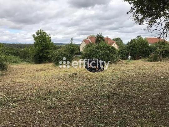 Terrain
        
        - 916 m² Exclusivité