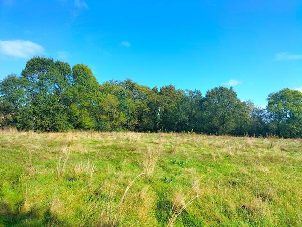 Terrain St Gervais 386 m2