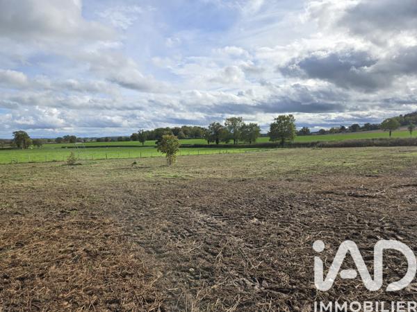 Maison à vendre 10 pièces 300 m² Tronget