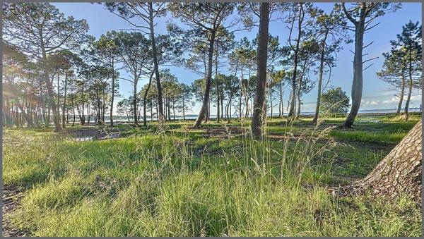 Division , Rénovation Lac de biscarosse