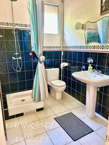 ❤️ COUP DE CŒUR ❤️ Maison à vendre 7 pièces VERT PRE (972)