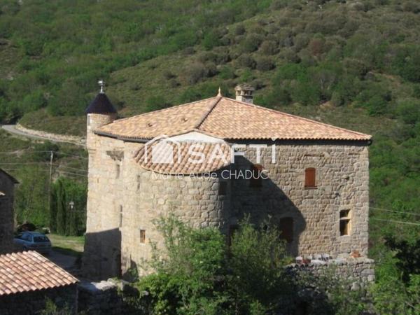 Ensemble immobilier avec Château du XIIIème, un Mas et une clède