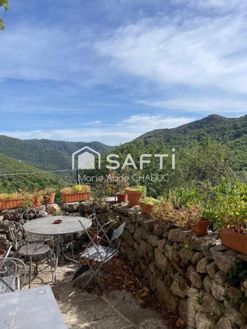 Ensemble immobilier avec Château du XIIIème, un Mas et une clède