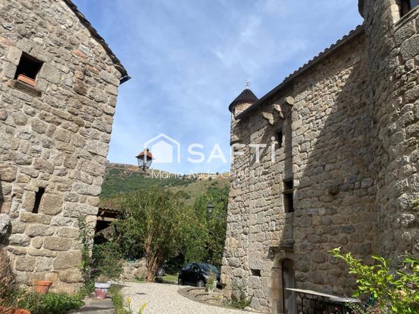 Ensemble immobilier avec Château du XIIIème, un Mas et une clède