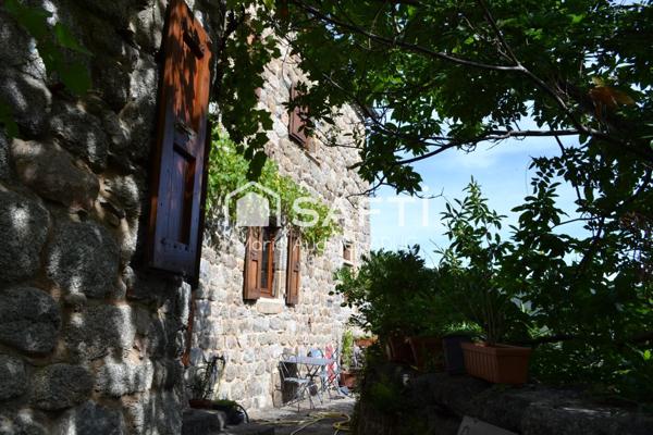 Ensemble immobilier avec Château du XIIIème, un Mas et une clède