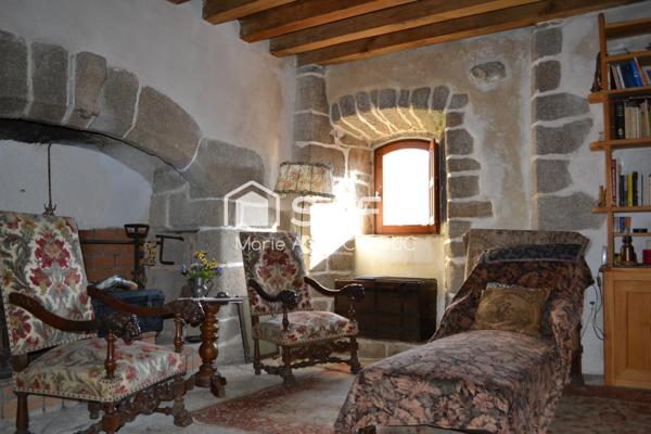 Ensemble immobilier avec Château du XIIIème, un Mas et une clède