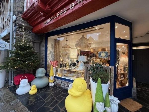 Immeuble à vendre à Dol-de-Bretagne en Ille-et-Vilaine (35120), ref : 35130-1091657