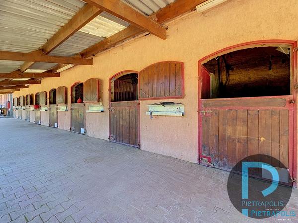 PROPRIETE EQUESTRE - 01990 ST TRIVIER SUR MOIGNANS