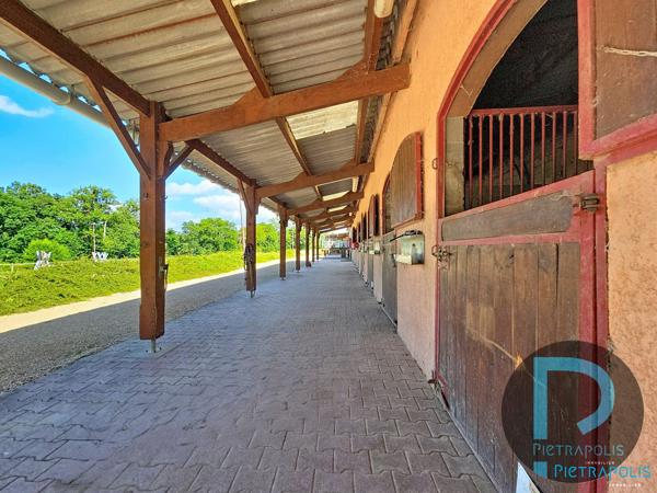 PROPRIETE EQUESTRE - 01990 ST TRIVIER SUR MOIGNANS