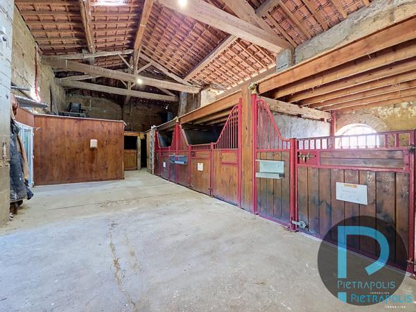 PROPRIETE EQUESTRE - 01990 ST TRIVIER SUR MOIGNANS