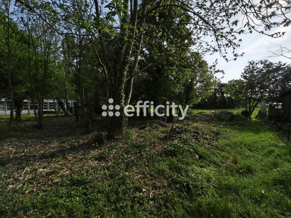 Terrain - 1989 m² Exclusivité