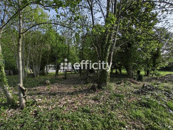 Terrain - 1989 m² Exclusivité