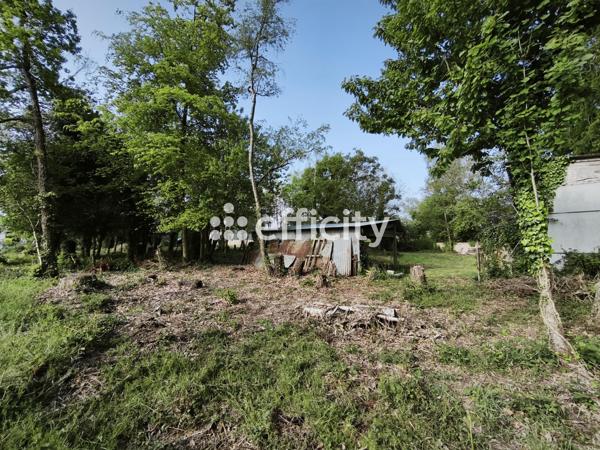 Terrain - 1989 m² Exclusivité