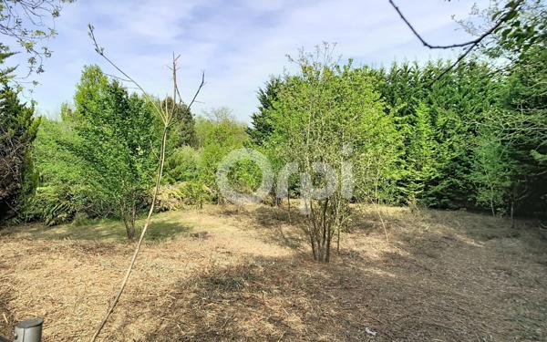 Terrain à vendre    Boulazac