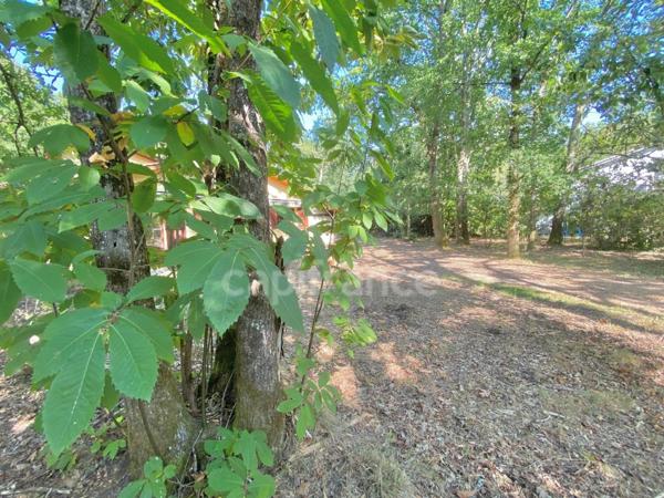 Maison 6 pièces – Fort potentiel – Environnement privilégié LACANAU - Marina de Talaris