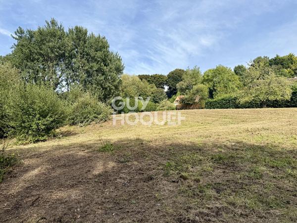 TERRAIN - DOMAINE DU HAUT BOIS