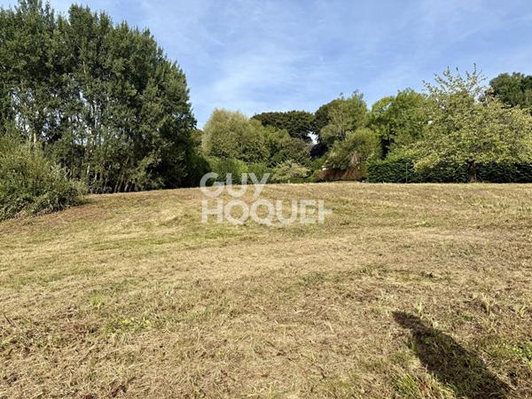 TERRAIN - DOMAINE DU HAUT BOIS