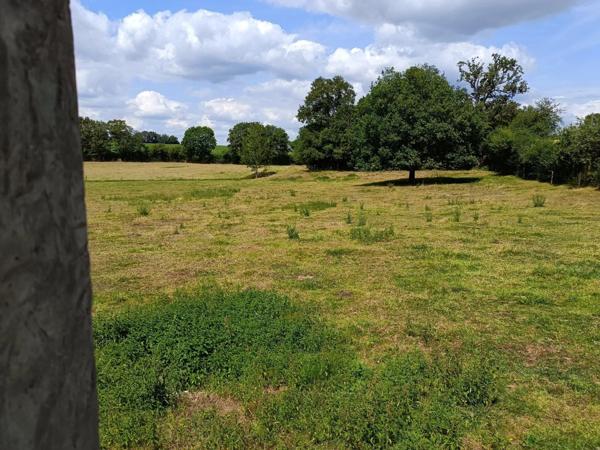 Vente Ferme 5 pièces 80 m2 à Saint-Mars-du-Désert