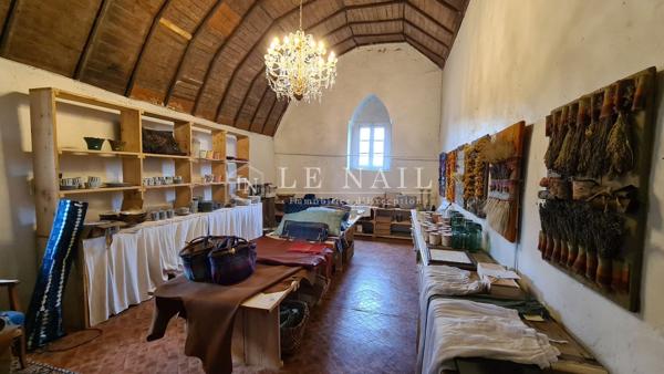RARE ENSEMBLE IMMOBILIER, en partie classé Monument Historique, DANS LE PERCHE