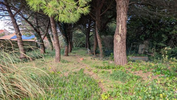 Maison  4 pièce(s)  3 chambre(s)  330 m²