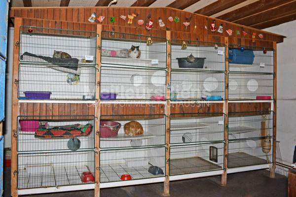 Maison avec une activité chenil