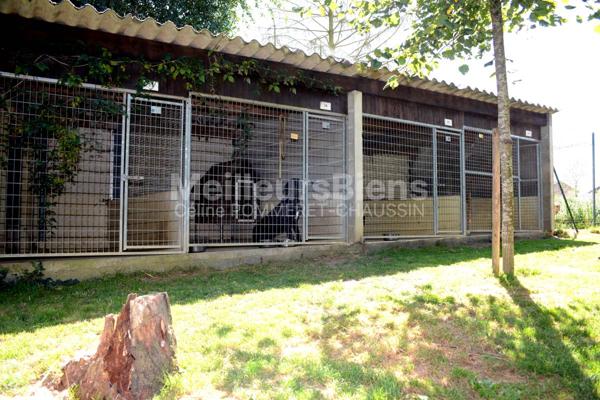 Maison avec une activité chenil