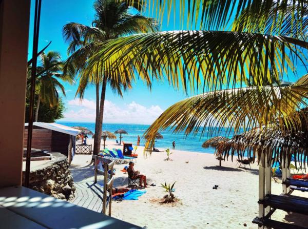 SAINT FRANCOIS (971) ANSE DES ROCHERS STUDIO/T1 B MEUBLE DANS RESIDENCE AVEC PISCINE A 2 PAS DES PLAGES