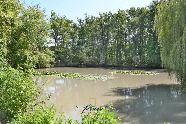 Vente murs / Local activité