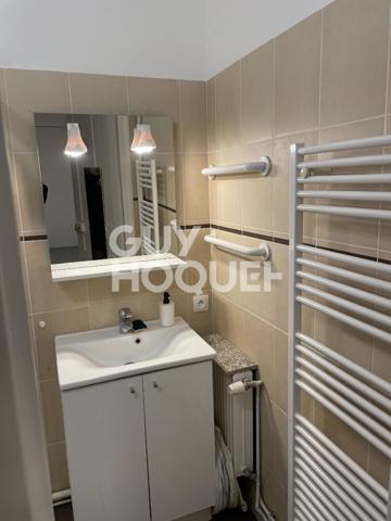 Beau F3 MEUBLE 42.24 M²- PLEIN CENTRE VILLE DE PUTEAUX