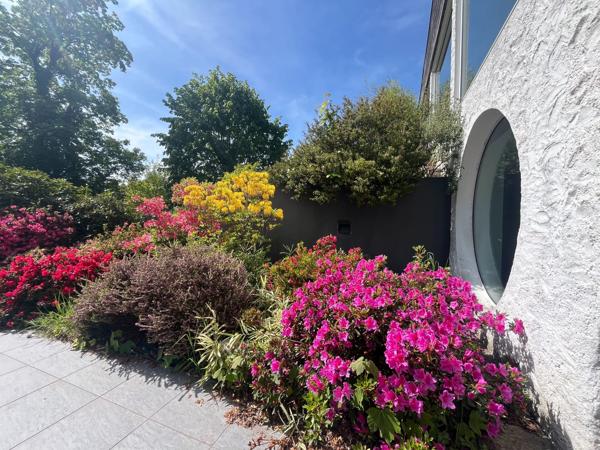 Vente Maison d'architecte Mont-Saint-Aignan 6 Pièces 220 m²