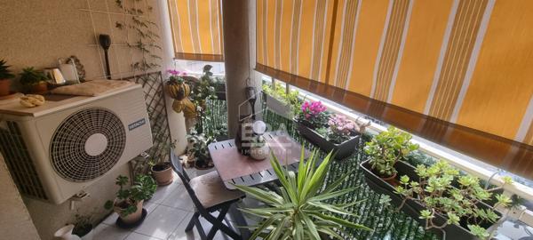 Appartement Folelli 2 pièce(s) 51 m2 T2