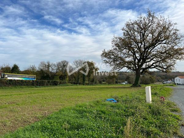 Terrain constructible en lotissement