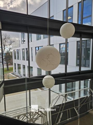 Bureaux neufs à vendre ou à louer à Limonest avec terrasses et patio central