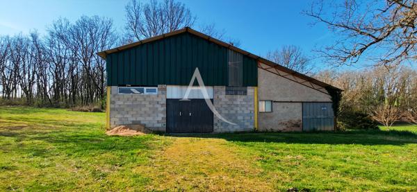 Hangar agricole 300 m2