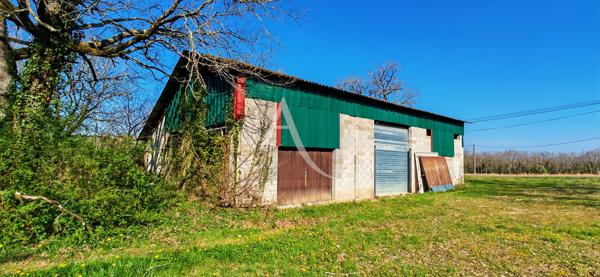 Hangar agricole 300 m2