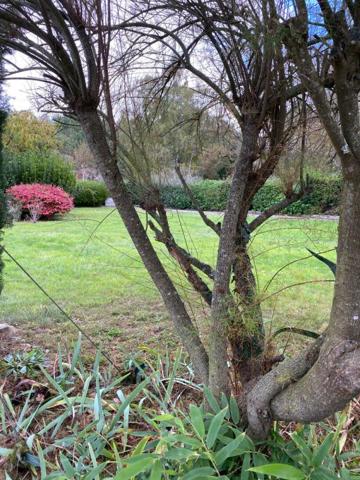 Aux portes de Vannes 10' du port  maison 145M2 avec piscine et jardin 1500M2