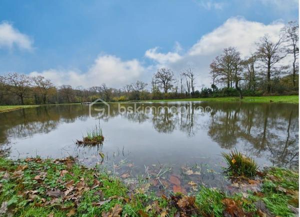 Dans un cadre idyllique sur la commune de Mezangers, vous pourrez profiter en famille ou entre amis de ce beau terrain de loisirs avec étang où vous pourrez pêcher du brochet, des perches, des gardons, des cendres et amours blancs entre autres.
Cet étang est aux normes et possède une cave pêchoir.
Vous pourrez préparer un petit barbecue, pendant que d'autres pourront jouer à la pétanque sur un terrain normalisé.
En cas d'averse vous pourrez vous abriter dans la dépendance dans laquelle vous pourrez pique-niquer.