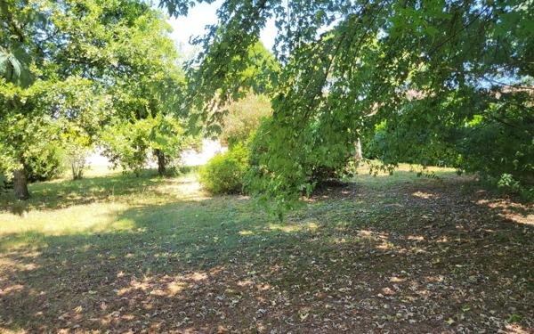 Maison à vendre    4 pièces •  Villeneuve-de-Marsan