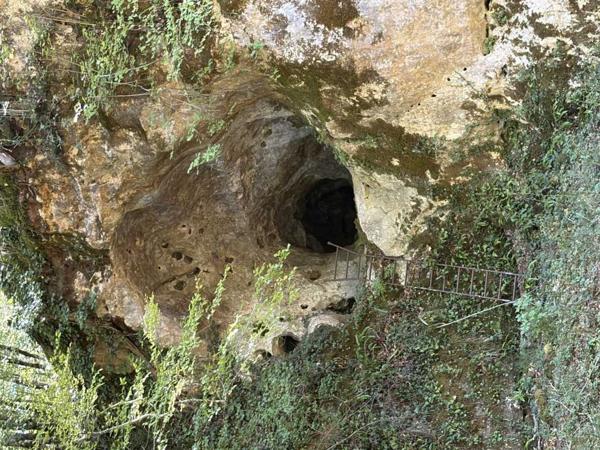 Maison ancienne - Les eyzies Propriété de caractère avec piscine unique, en Vallée Vézère , dans le Périgord Noir avec maison principale, gîte, dépendance et grottes sur 1,5 ha.